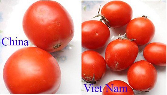 Tuyệt chiêu để phân biệt rau củ Trung Quốc và Việt Nam cho các bà nội trợ - Ảnh 2.