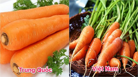 Tuyệt chiêu để phân biệt rau củ Trung Quốc và Việt Nam cho các bà nội trợ - Ảnh 4.