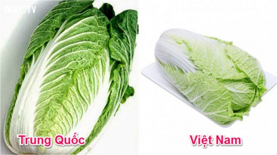 Tuyệt chiêu để phân biệt rau củ Trung Quốc và Việt Nam cho các bà nội trợ - Ảnh 6.