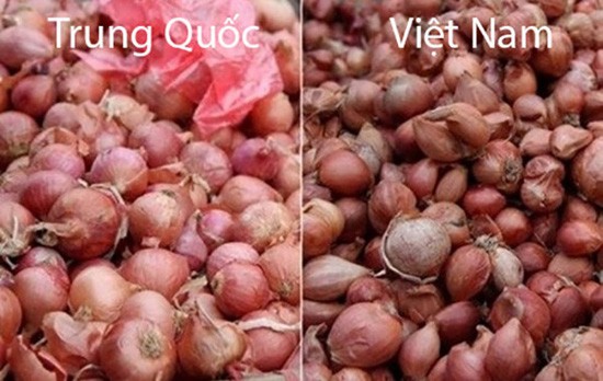Tuyệt chiêu để phân biệt rau củ Trung Quốc và Việt Nam cho các bà nội trợ - Ảnh 8.
