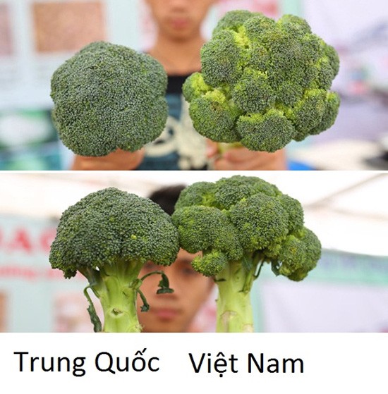 Tuyệt chiêu để phân biệt rau củ Trung Quốc và Việt Nam cho các bà nội trợ - Ảnh 10.
