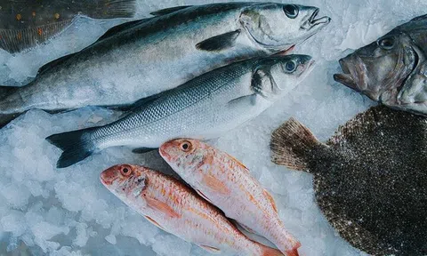 Bí quyết chọn cá biển tươi ngon, đảm bảo an toàn cho cả gia đình