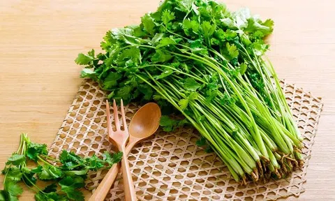 Rau mùi chữa bệnh gì, ai không nên ăn?