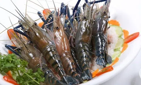 Nên luộc tôm bằng nước nóng hay nước lạnh?