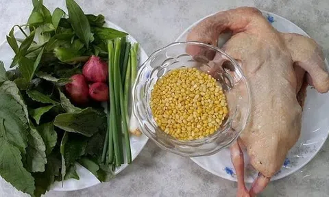 Cháo chim bồ câu: Món ngon bổ dưỡng cho người ốm