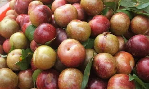 Cách làm mận dầm chua ngọt ngon và bắt mắt