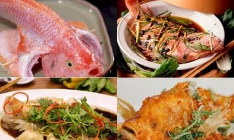 2 cách chế biến cá diêu hồng hấp dẫn hơn nhà hàng