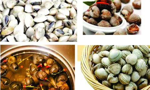 Mẹo đơn giản giúp làm sạch nghêu, sò, ốc, hến