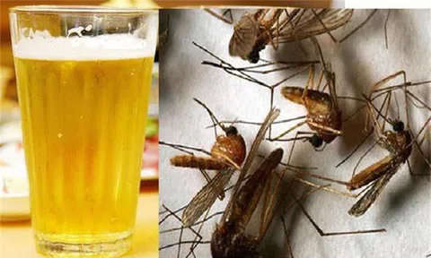 Mùa hè tới, học ngay 10 mẹo đuổi muỗi hiệu quả từ nguyên liệu tại nhà