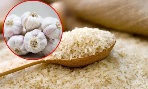Mẹo bảo quản gạo không bị mối mọt, ẩm mốc từ nguyên liệu tự nhiên