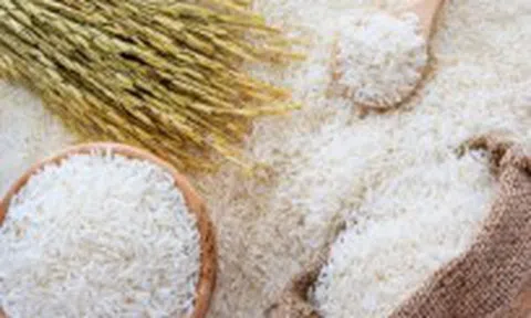 Nhận biết gạo giả, gạo nhựa như thế nào?